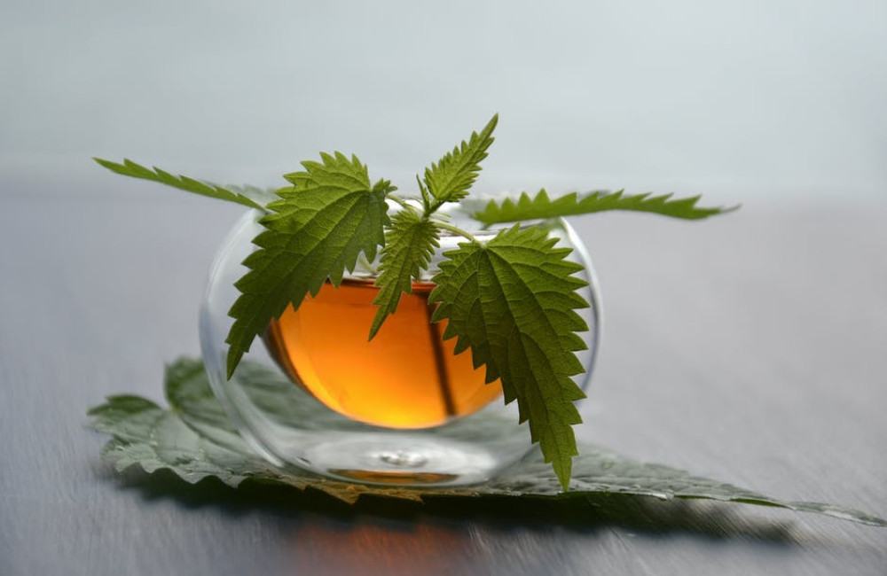Brandnetelthee: Een veilige, gezonde drank?